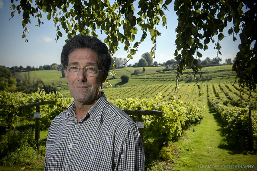 Three Choirs Vineyard