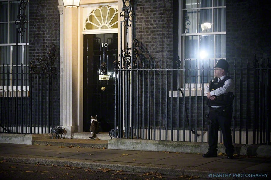 Brexit Draft Agreement