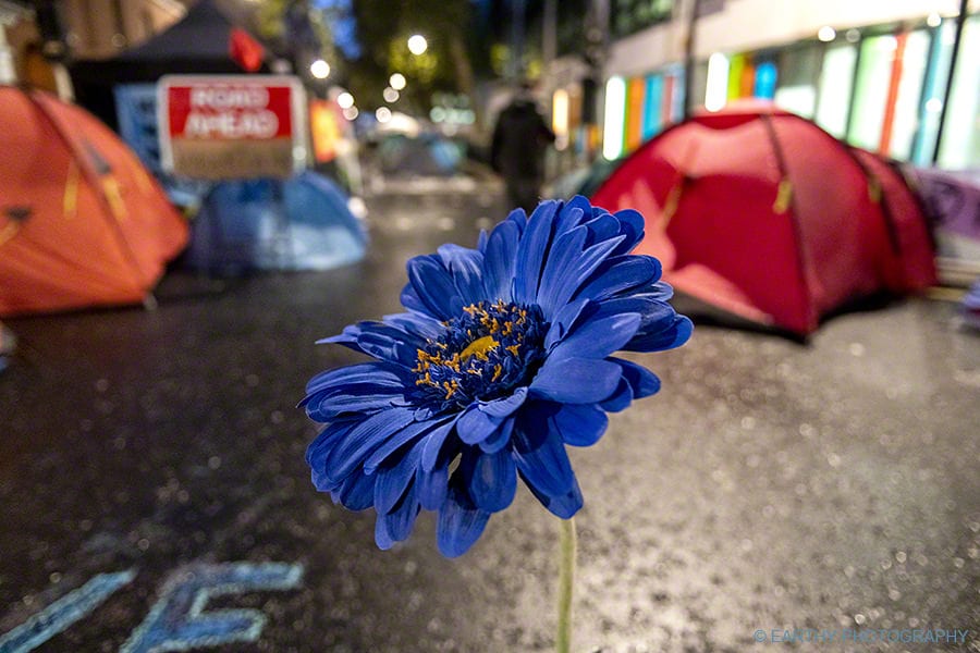 Extinction Rebellion