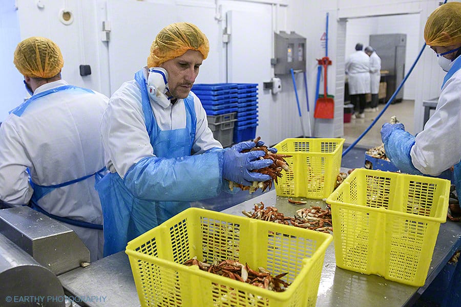 General Election 2019 Grimsby