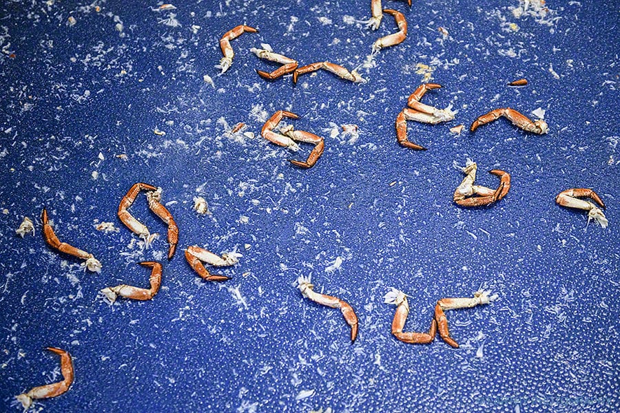 General Election 2019 Grimsby