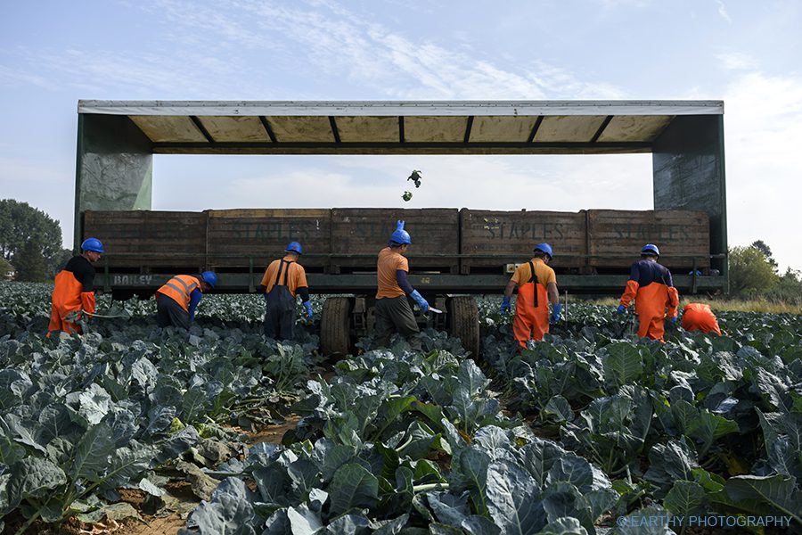 Boston After Brexit Migrant Workers