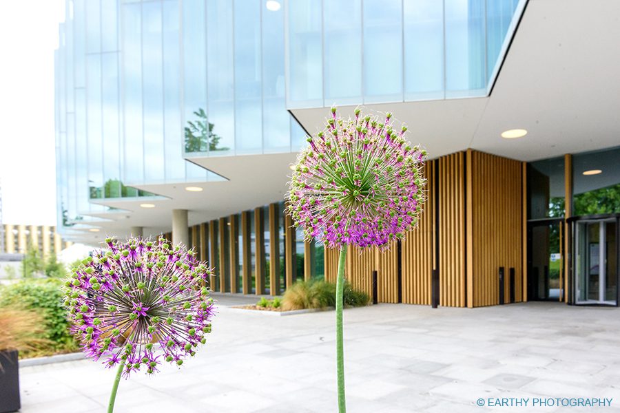 King and Queen of Sweden visit the AstraZenecas Discovery Centre In Cambridge