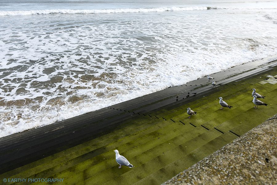 Labours red wall turned blue