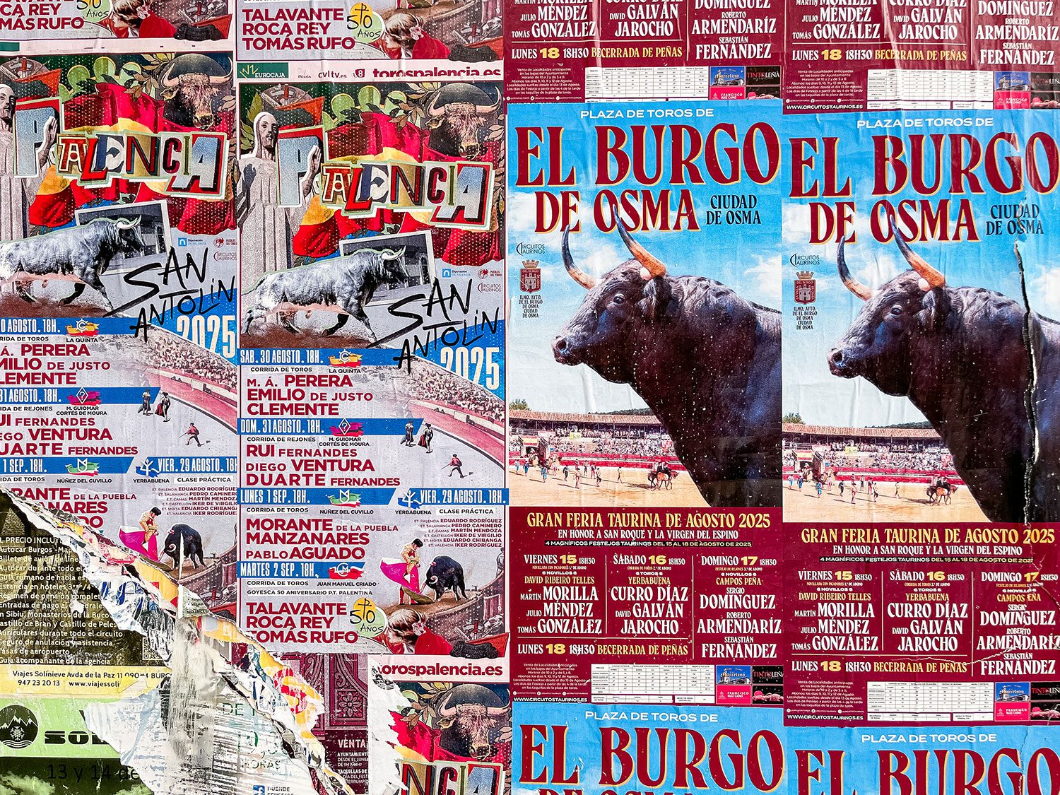 Camino Frances Ages to Burgos