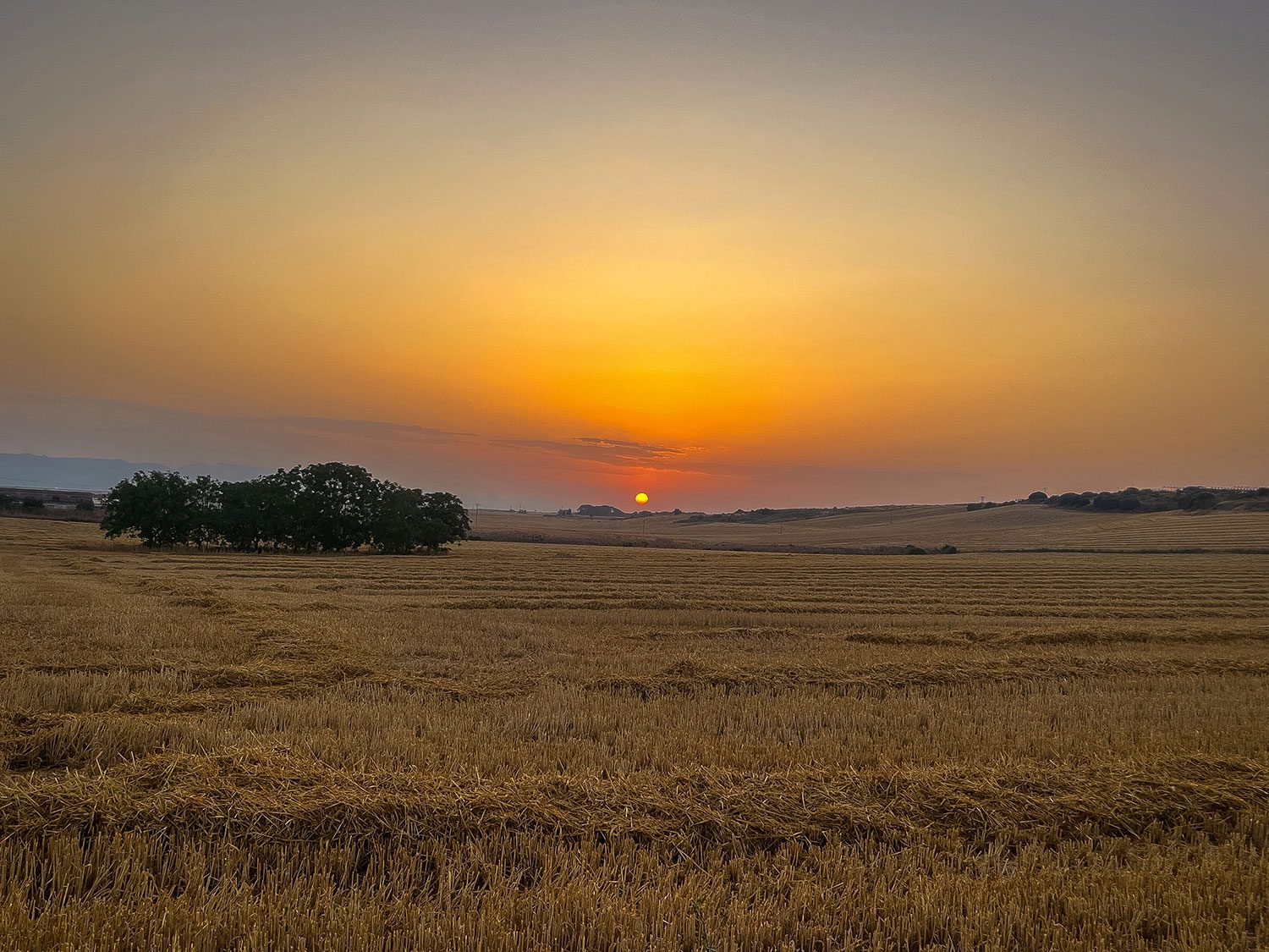 Camino Francis Cirueña to Redecilla del Camino
