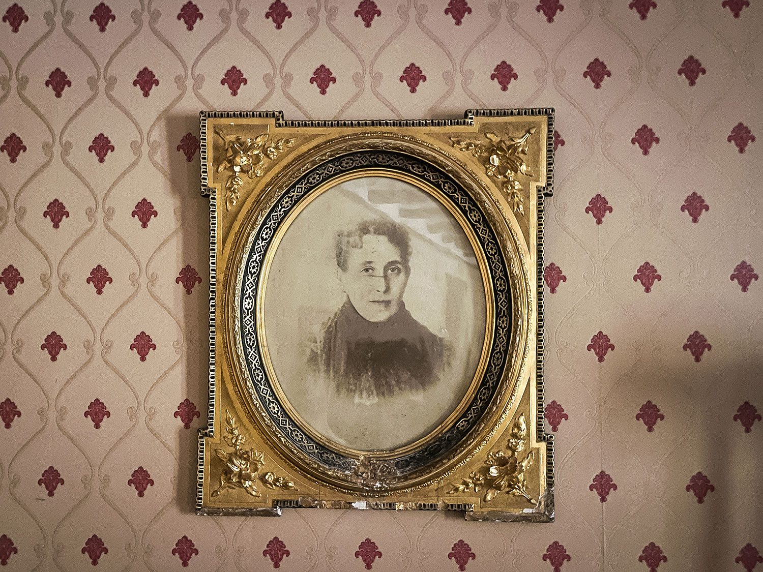 Camino Frances Los Arcos to Viana