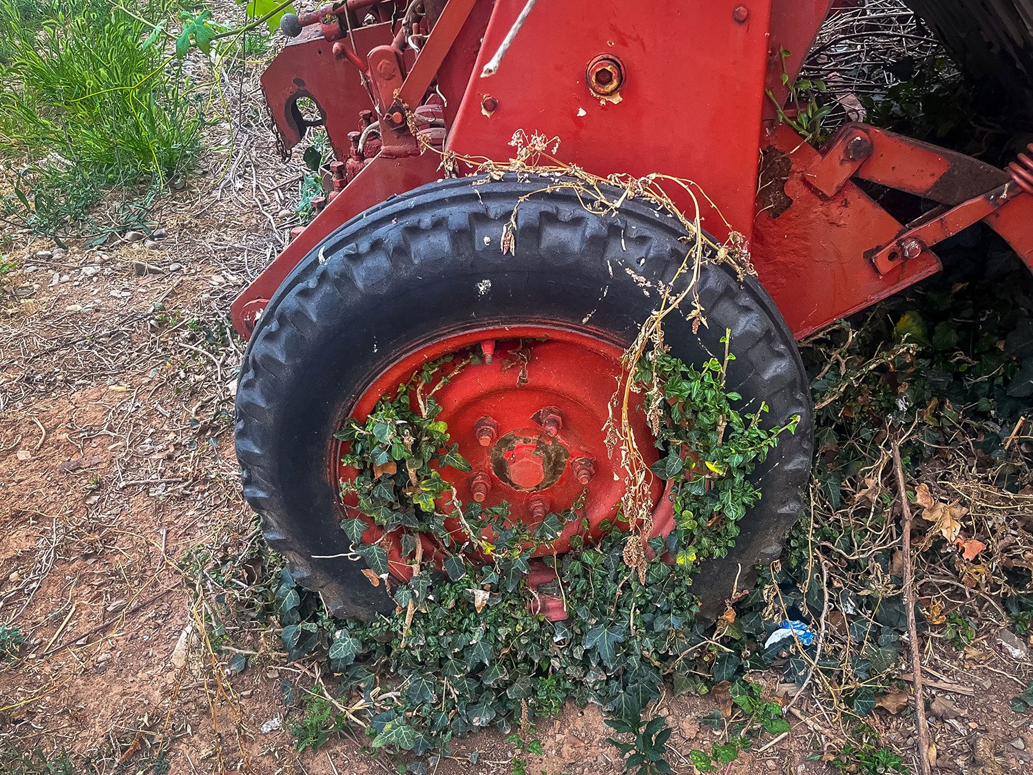 Camino Frances Nájera to Cirueña