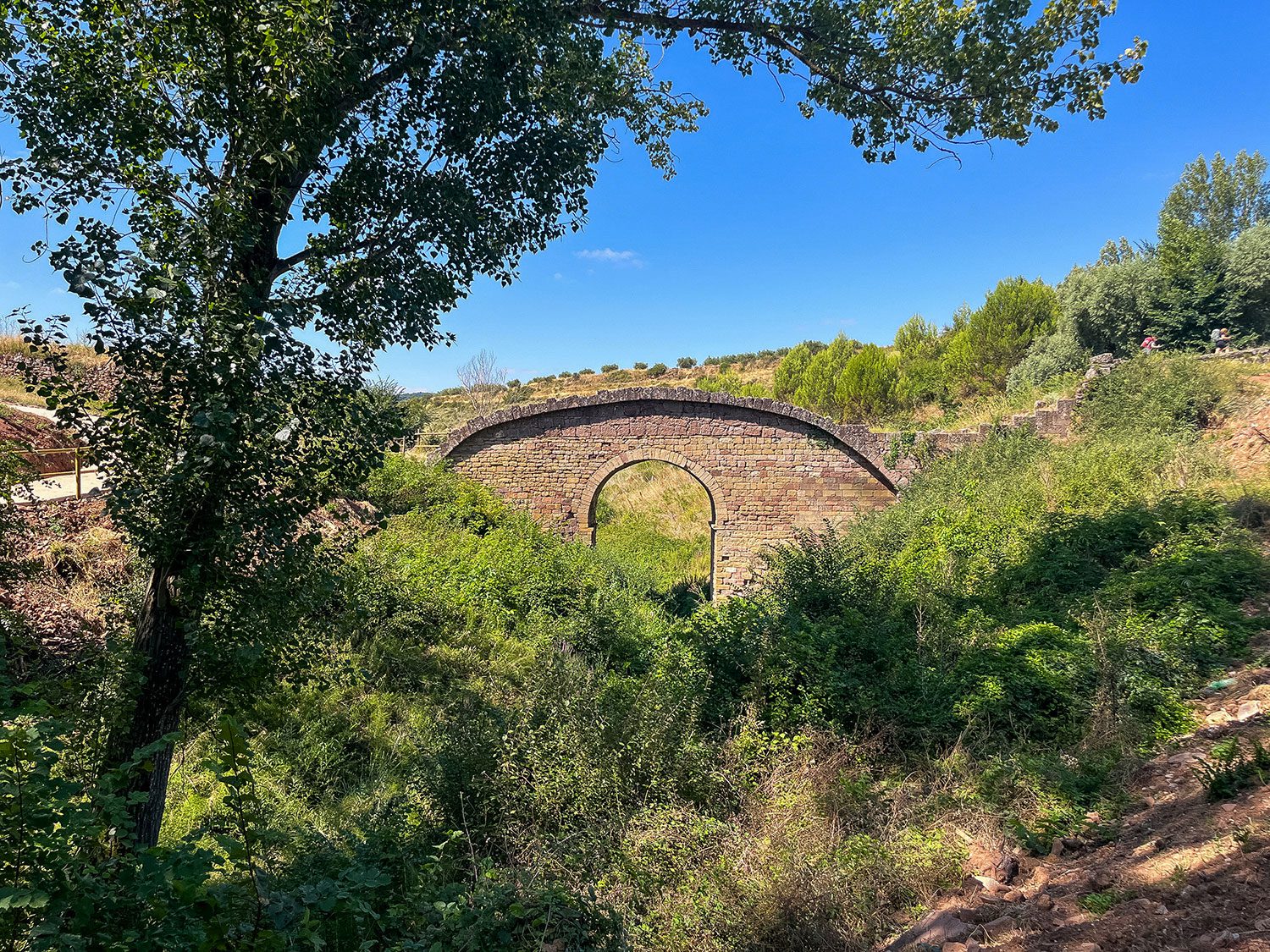 Camino Frances Puente La Reina to Villatuerta