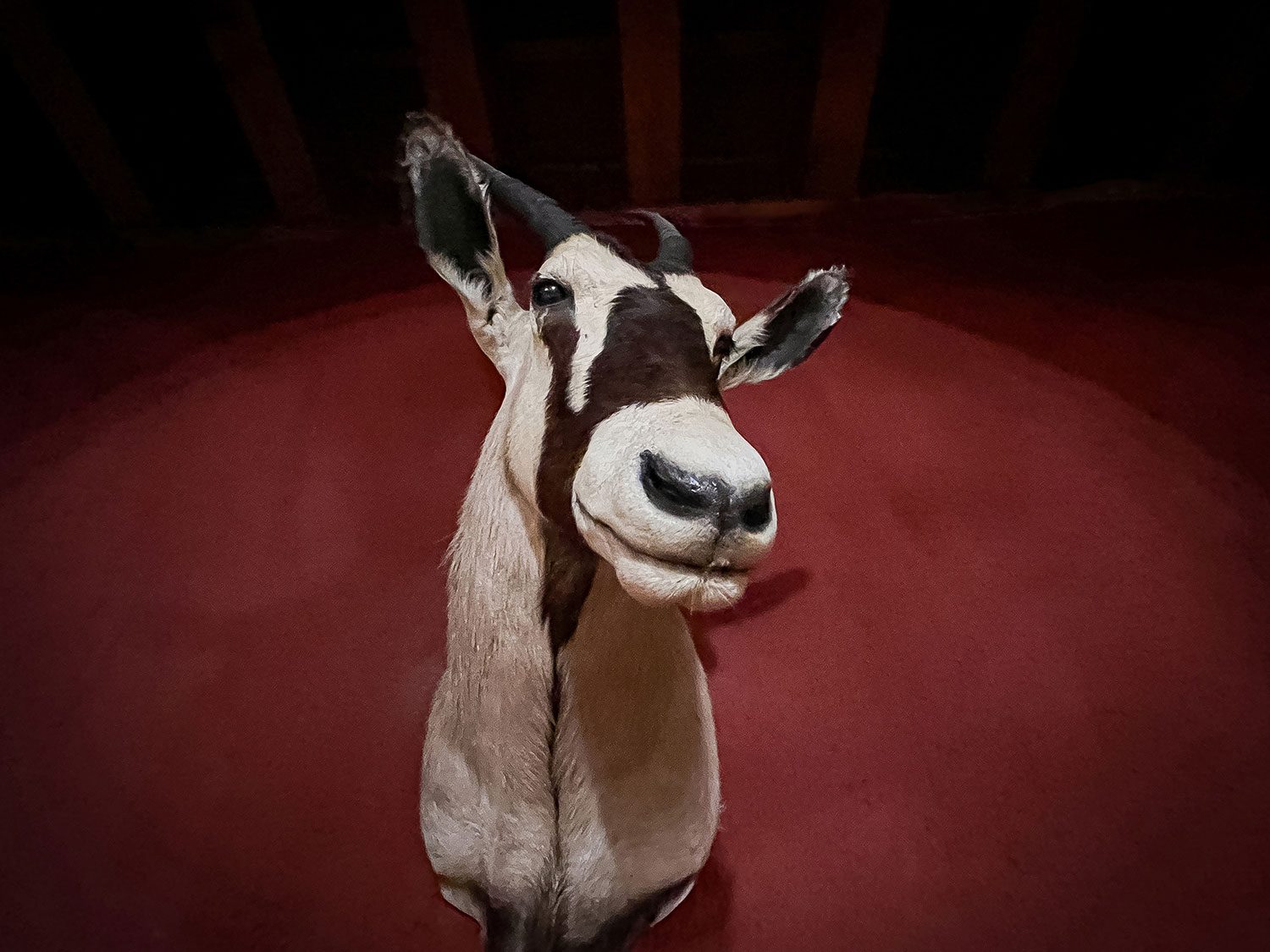 Camino Frances Villambista to Villafranca Montes De Oca