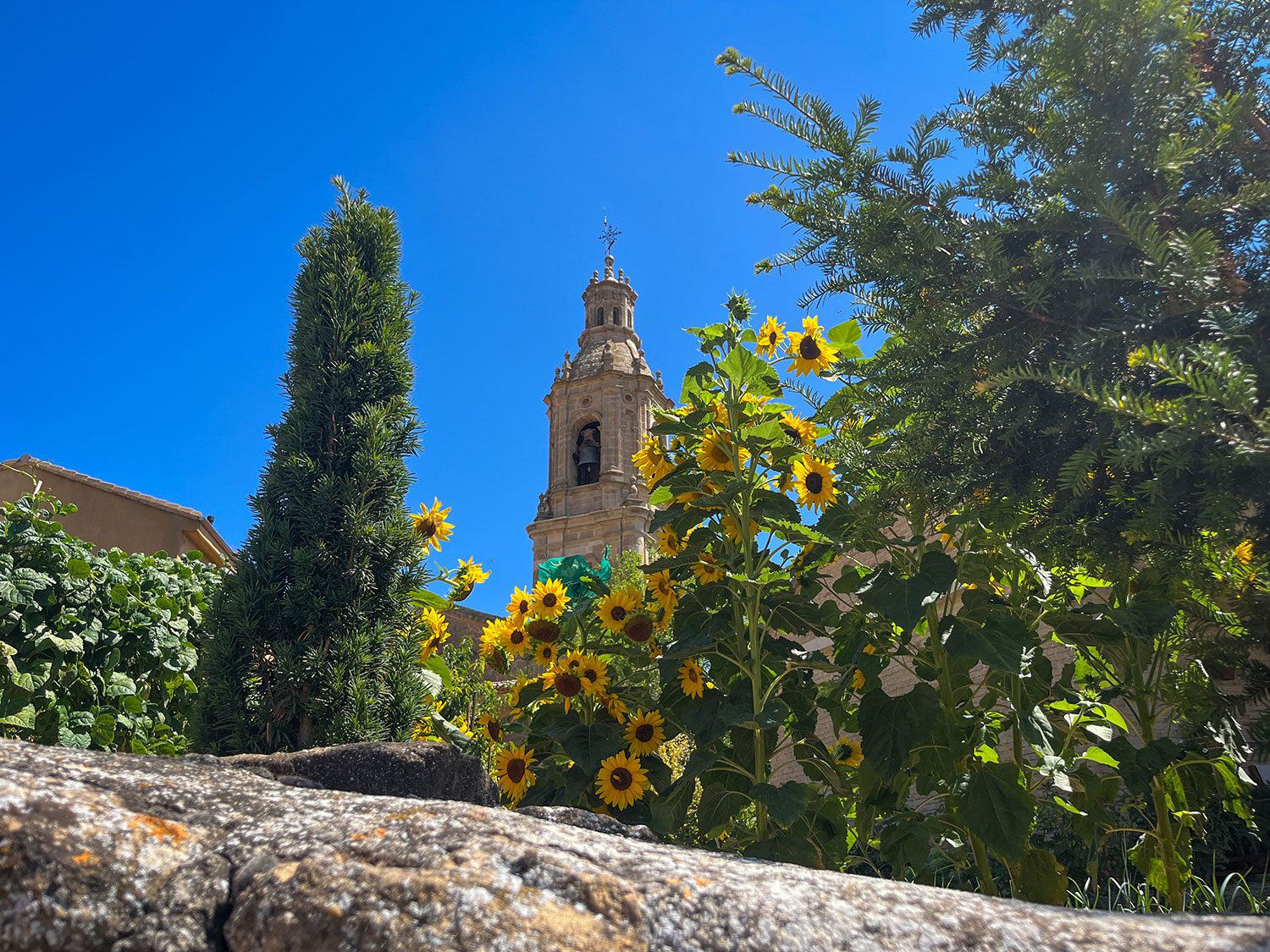 Camino Frances Villatuerta to Los Arcos