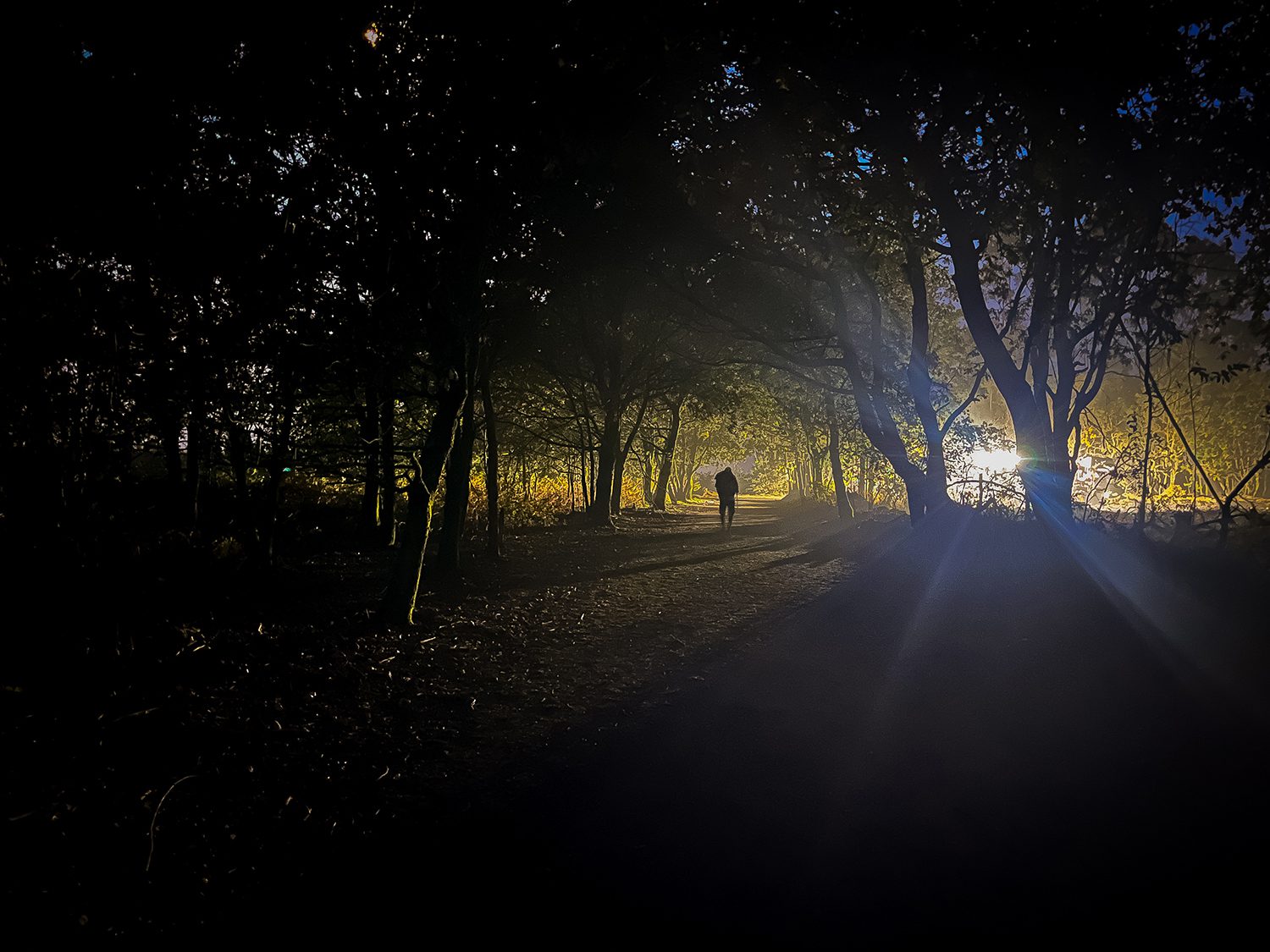 Camino Frances O Pedrouzo to Santiago de Compostela