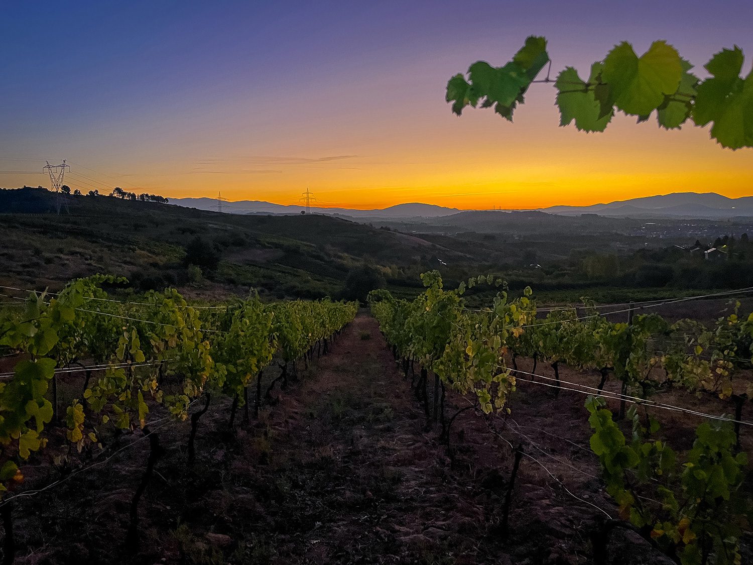 Camino Frances Cacabelos to Ambasmestas