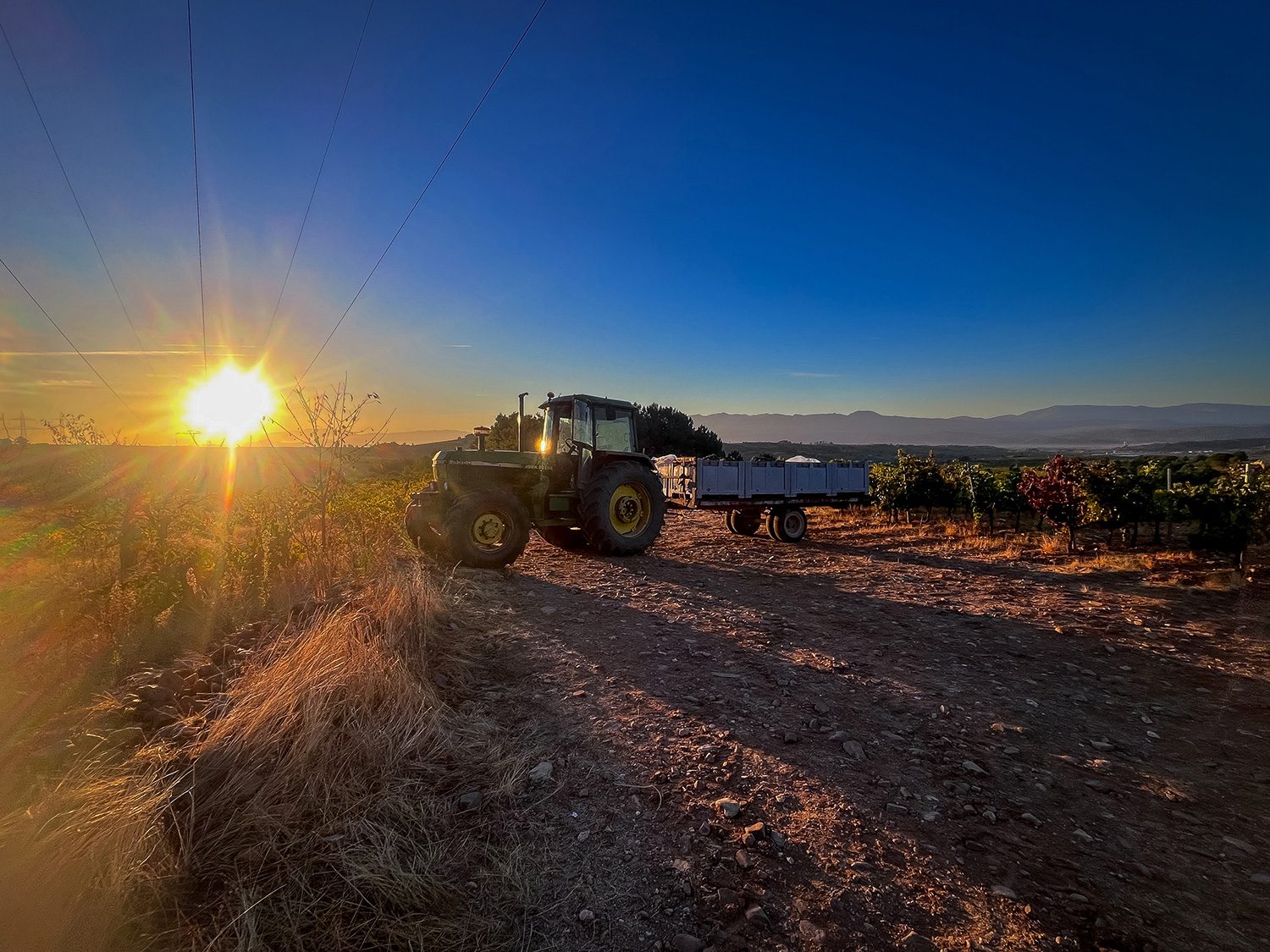 Camino Frances Cacabelos to Ambasmestas