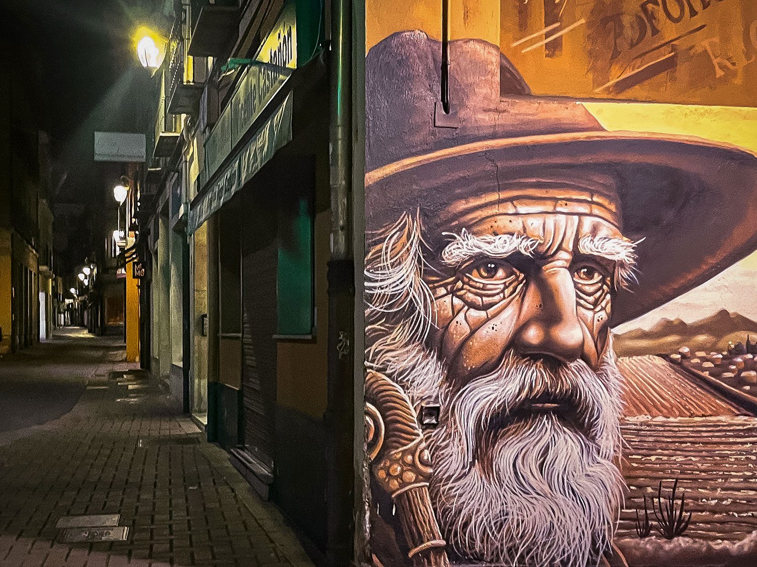 Camino Frances Leon to Villadangos del Paramo