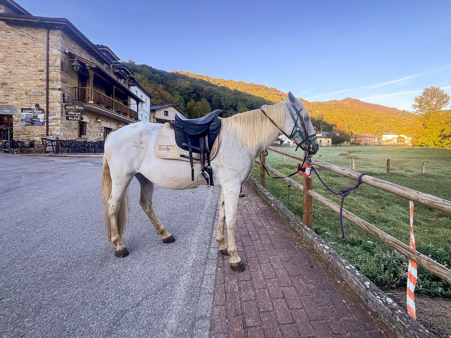 Camino Frances Ambasmestas to O Cebreiro
