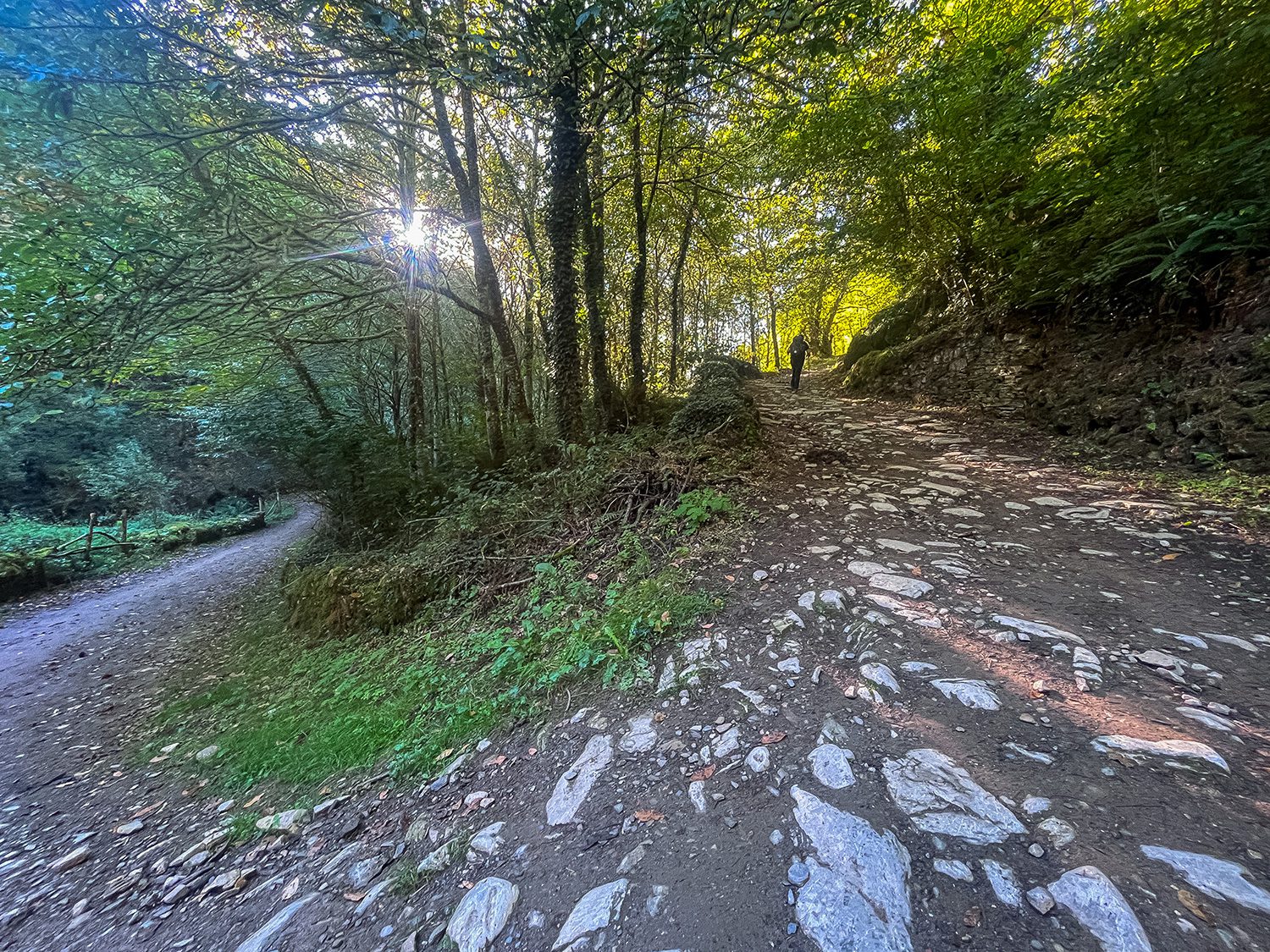 Camino Frances Ambasmestas to O Cebreiro