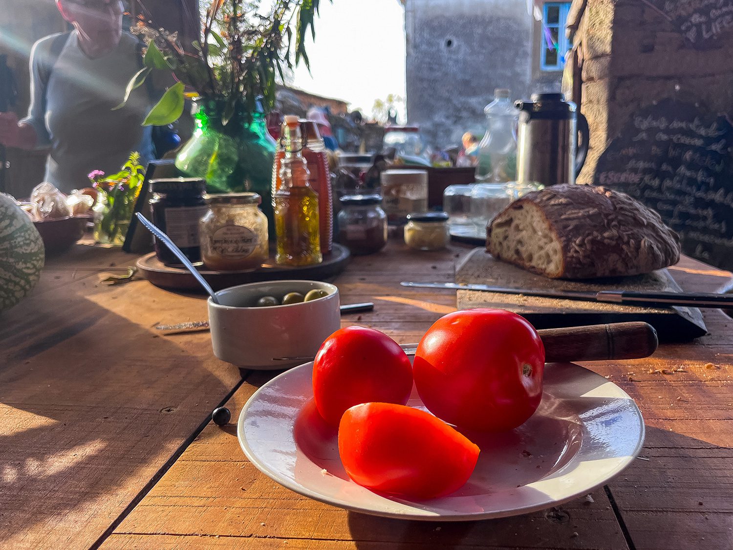 Camino Frances Triacastela to Sarria