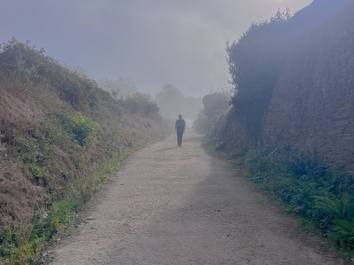 Camino Frances Triacastela to Sarria