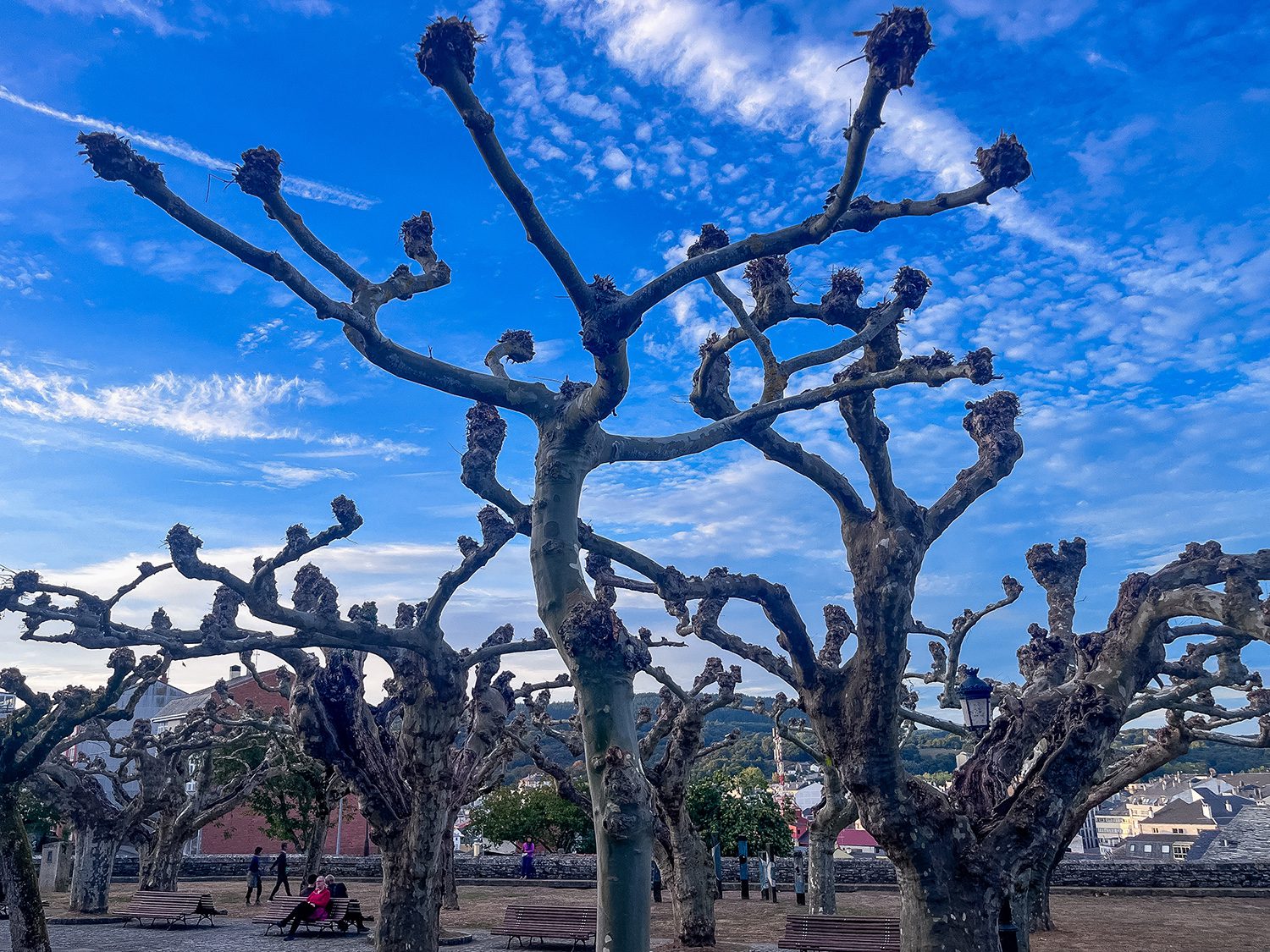 Camino Frances Triacastela to Sarria