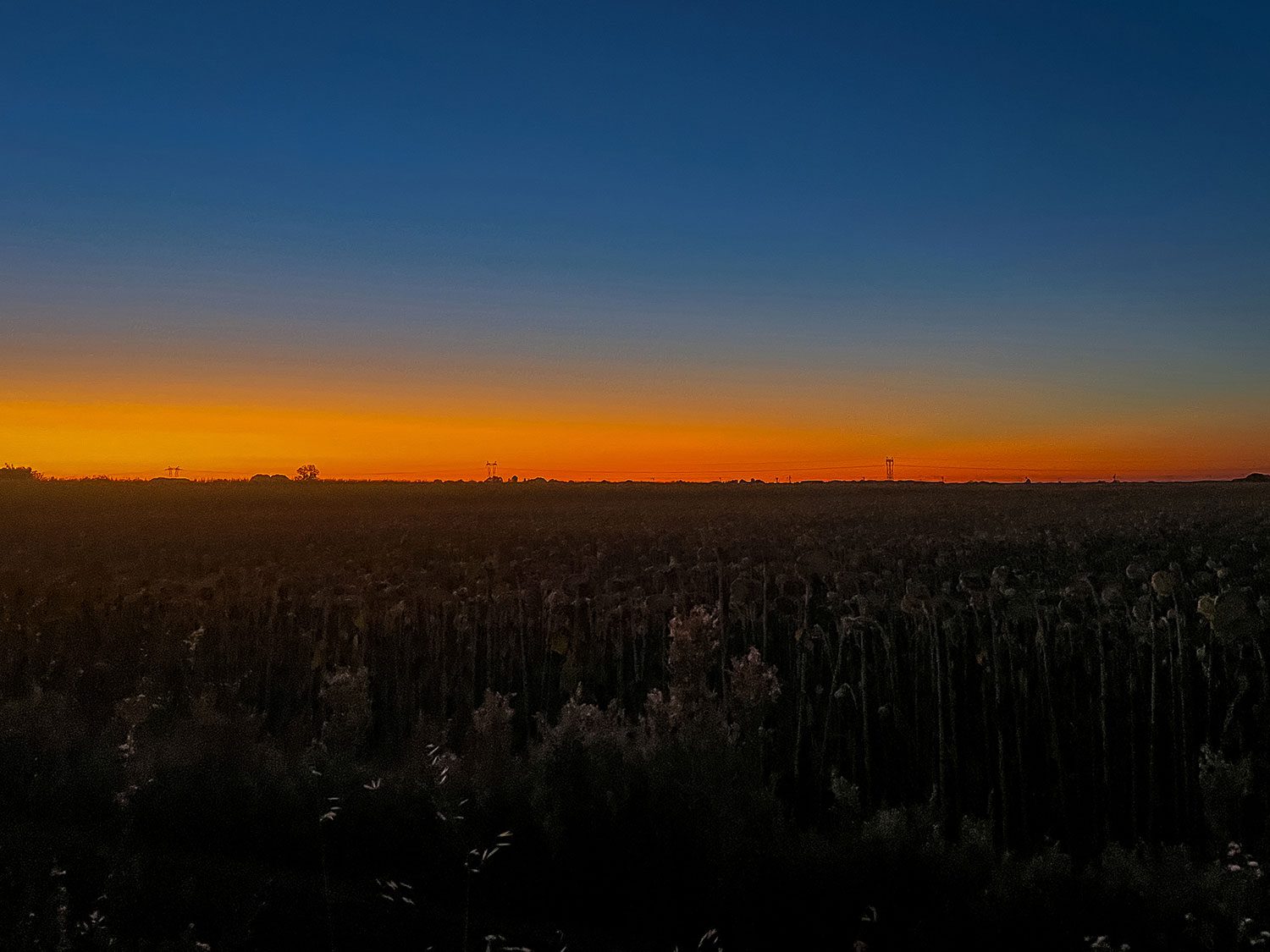Camino Frances Villadangos del Paramo to Justo de la Vega Astorga
