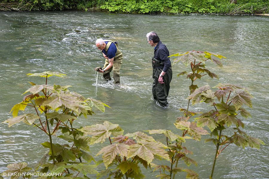 Dirty Business Channel 4