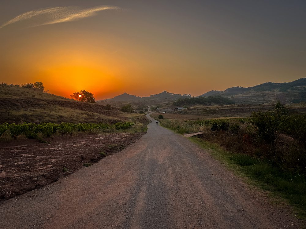 Reflections from the Camino Frances