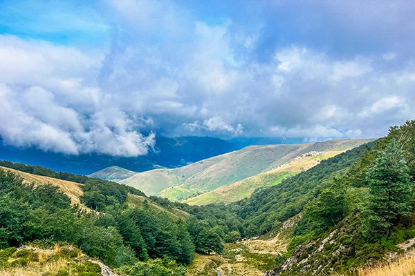 At the top of Col de Lepoeder on the Camino Francés, we stopped for a short rest and ate our packed lunch before starting the steep downhill path to Roncesvalles