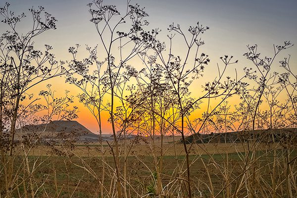 We have now settled into a comfortable morning routine: walk in the cool early morning, take a rest to watch the inevitably stunning sunrise yes time on the way to Villambistia