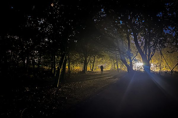 in the dark I managed to capture a photograph I was happy with as one pilgrim was briefly caught in the machinery lights of some forest workers – it was the last picture that I took on the Camino Santiago