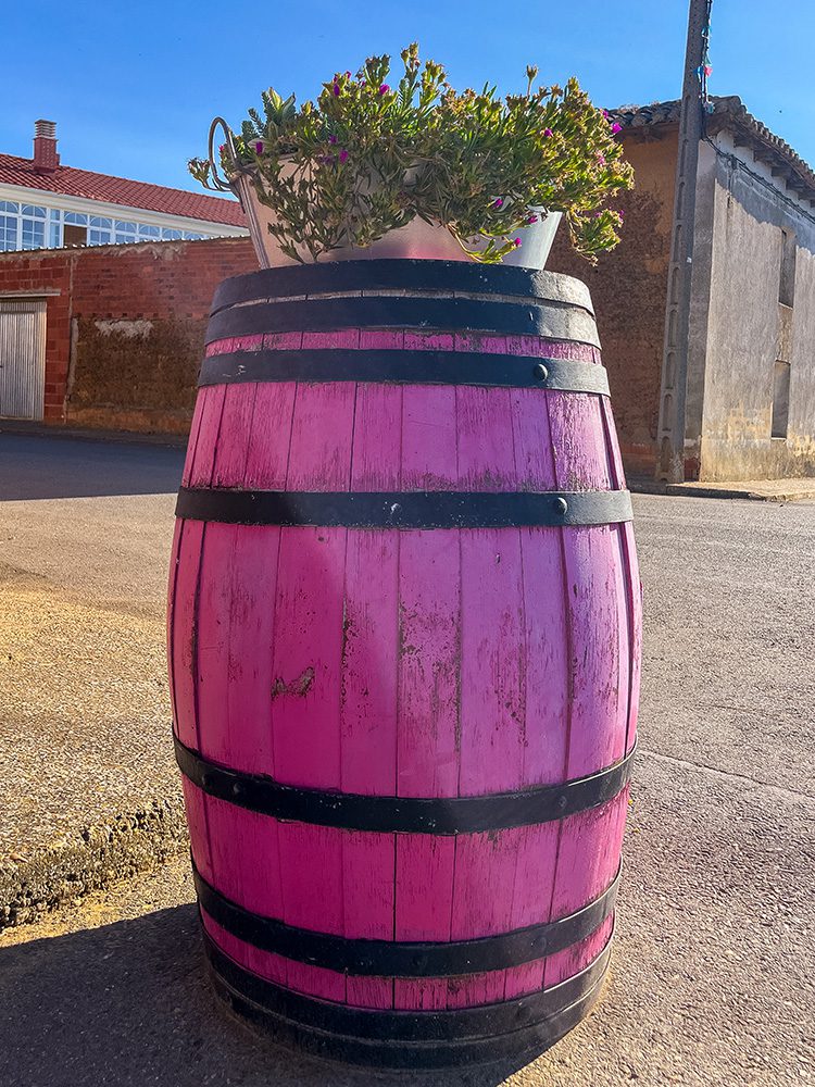 Pink wooden barrel planter in the sunshine at El Burgo Ranero
